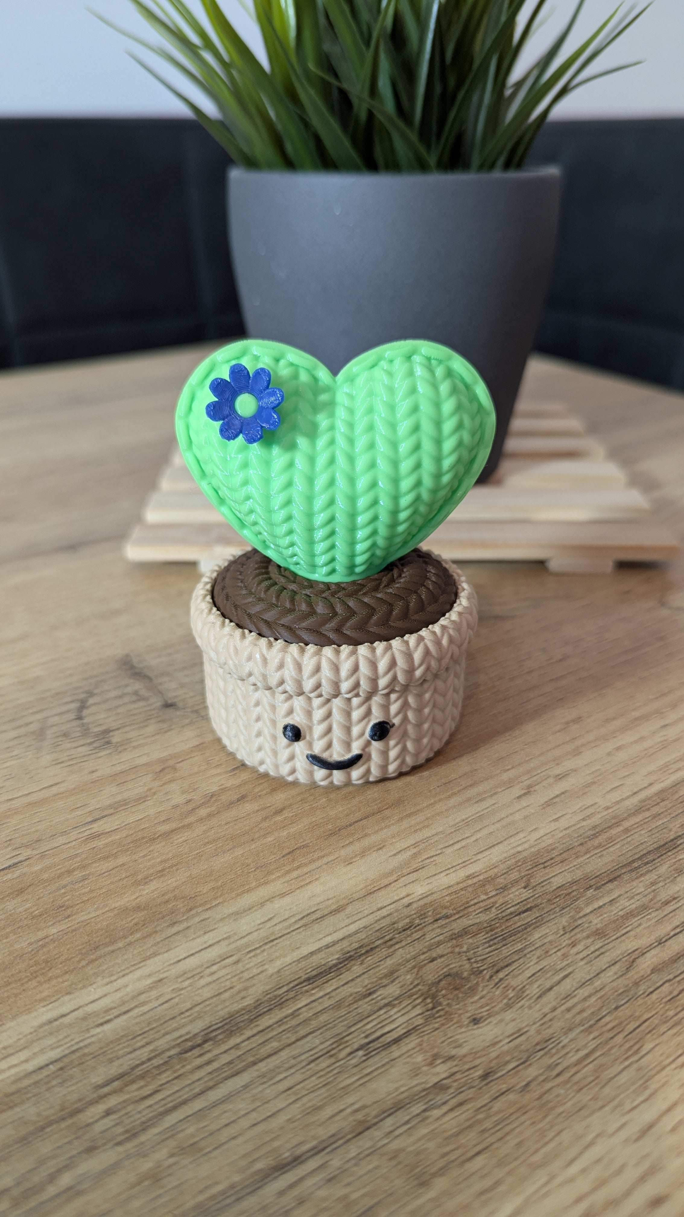 Süße Dose in Kaktusform für Maschenmarkierer
