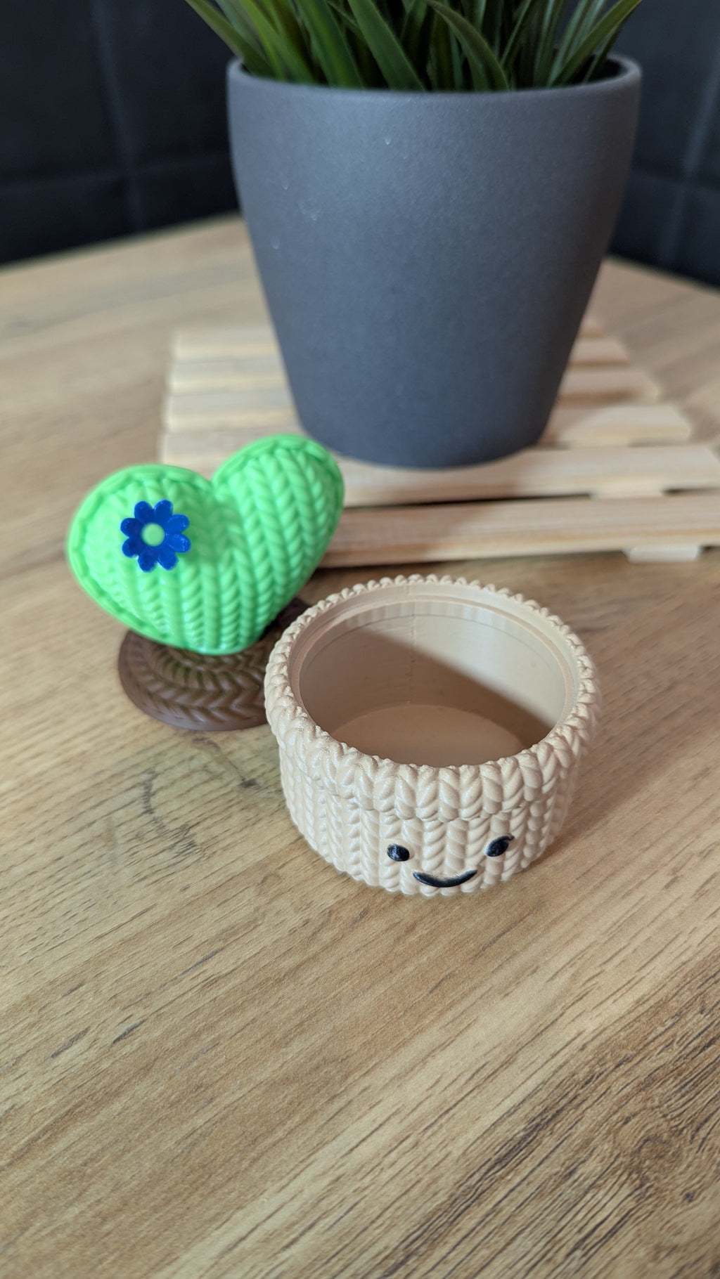 Süße Dose in Kaktusform für Maschenmarkierer